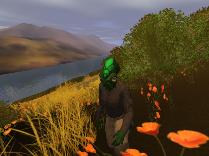 A scene from the Star Wars Galaxies sandbox